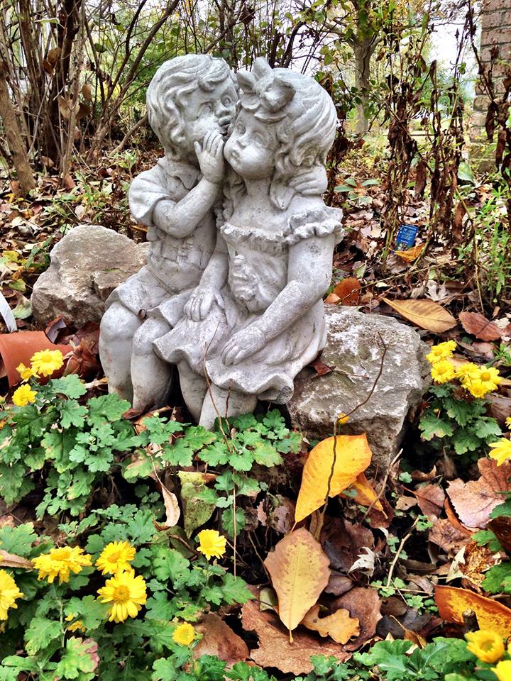 10256590_10204982892758245_8081359421154582696_n